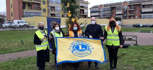 Gruppo del Lions Club Alfieri Asti con il sindaco Rasero per iniziative 8 marzo Gruppo del Lions Club Alfieri Asti con il sindaco Rasero per iniziative 8 marzo