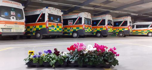 Alla Croce Verde di Nizza Monferrato 12 posti servizio civile per giovani dai 18 ai 29 anni