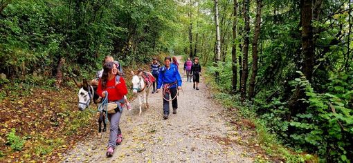 Anita e i suoi fratelli onlus "si trasferisce" in Liguria con il libro Il mio biberon è mezzo pieno!" Anita e i suoi fratelli onlus "si trasferisce" in Liguria con il libro Il mio biberon è mezzo pieno!"