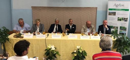 Un momento del convegno cui ha preso parte il vicepresidente Carosso