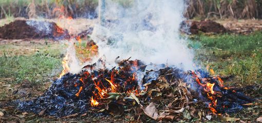 Abbruciamenti estivi: il sindaco Rasero e l'assessore Giacomini: "Adottate comportamenti corretti" Abbruciamenti estivi: il sindaco Rasero e l'assessore Giacomini: "Adottate comportamenti corretti"