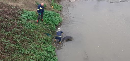 I volontari di protezione civile rimuovo copertone dal Borbore I volontari di protezione civile rimuovo copertone dal Borbore
