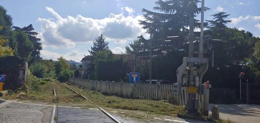 Alberi alti più di 4 metri in prossimità dei binari, RFi chiede di tagliarli in prossimità della tratta Alba-Castagnole Alberi alti più di 4 metri in prossimità dei binari, RFi chiede di tagliarli in prossimità della tratta Alba-Castagnole