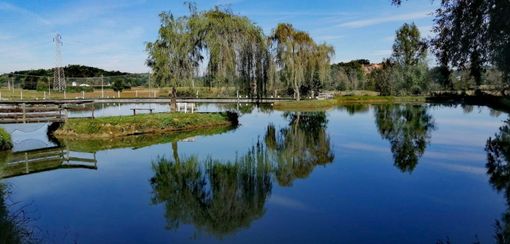 Improvvisazioni e rilassamento all'oasi del Lago Stella con il Movimento Creativo