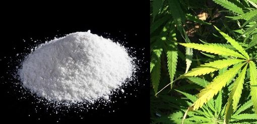 Immagine di repertorio Immagine di repertorio