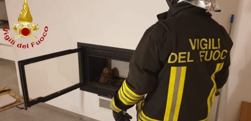 Sessant: rapace intrappolato in una canna fumaria, salvato dai Vigili del Fuoco