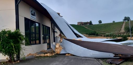 Foto tratte dalla pagina Fb della Cia di Asti. Il video dalla pagina Fb della Proloco di Vinchio