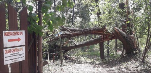 Emergenza maltempo, gravi danni anche al centro di recupero Lipu di Tigliole