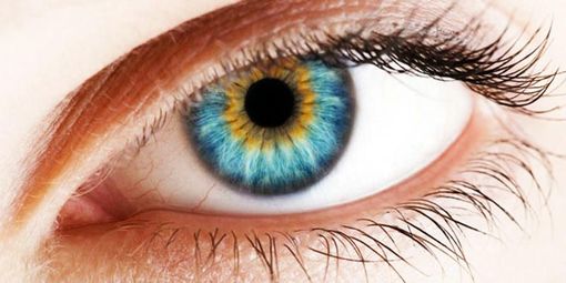 A marzo la settimana dedicata al glaucoma: le iniziative dell'Apri di Asti per la prevenzione A marzo la settimana dedicata al glaucoma: le iniziative dell'Apri di Asti per la prevenzione