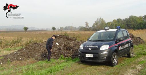 Immagini inerenti l'operazione dei Carabinieri Forestali