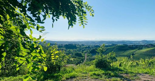 Caso Cerere, Castagnole Attiva chiama il Comune: "Serve un confronto pubblico a gennaio"