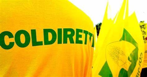 “Comunicazione efficace per potenziare le proprie risorse”, un progetto di Coldiretti Asti “Comunicazione efficace per potenziare le proprie risorse”, un progetto di Coldiretti Asti