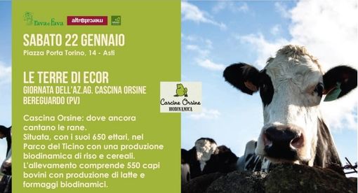 Locandina presentazione Cascine Orsine