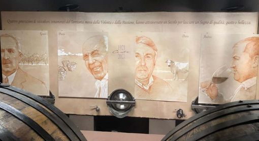 Disegno realizzato dal pittore Massimo Ricci in occasione dei cent'anni della cantina