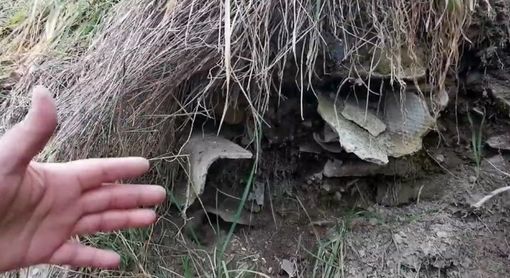 L’ennesima discarica abusiva nascondeva lastre che potrebbero essere in eternit