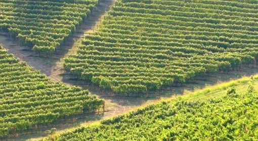 La Comunità’ Astesana si arricchisce di rapporti e partecipazione La Comunità’ Astesana si arricchisce di rapporti e partecipazione