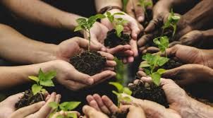 Agricoltura: raggiunti gli obiettivi per il Programma di Sviluppo Rurale 2014- 2020