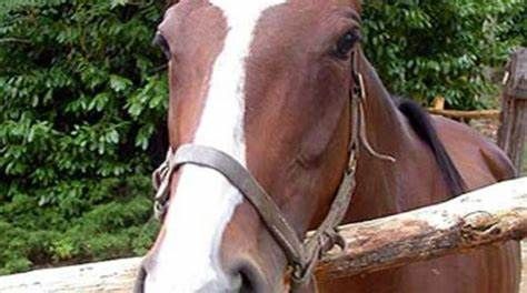 Immagine di repertorio