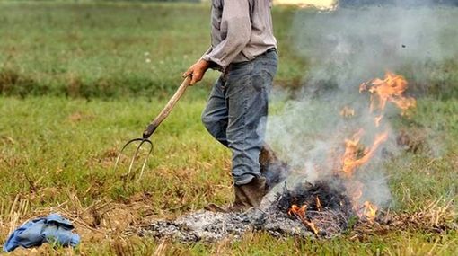 Immagine generica Immagine generica