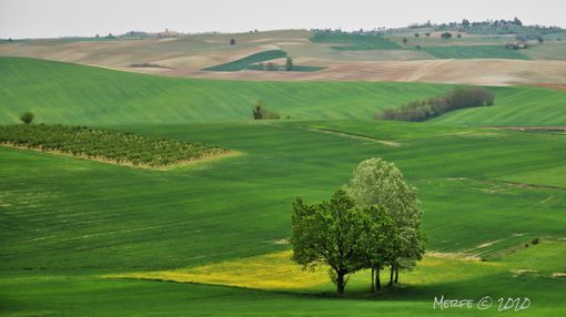 Ph Merfephoto - archivio Ph Merfephoto - archivio