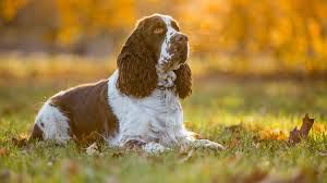 Immagine di repertorio