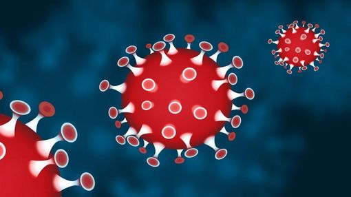 Coronavirus: 43 le persone risultate positive al test in provincia di Asti. 4 i ricoverati in terapia intensiva Coronavirus: 43 le persone risultate positive al test in provincia di Asti. 4 i ricoverati in terapia intensiva