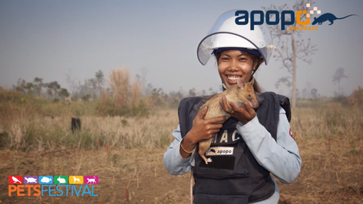 Aspettando Petsfestival: le video notizie che raccontano la mostra mercato più grande del settore Aspettando Petsfestival: le video notizie che raccontano la mostra mercato più grande del settore