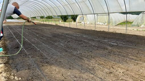 A Motta di Costigliole di applica un'importante innovazione agricola