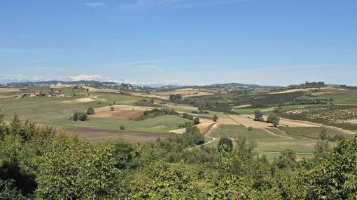 Viarigi contro il maxi impianto agrivoltaico di Altavilla Monferrato: la sindaca solleva dubbi ambientali e agricoli