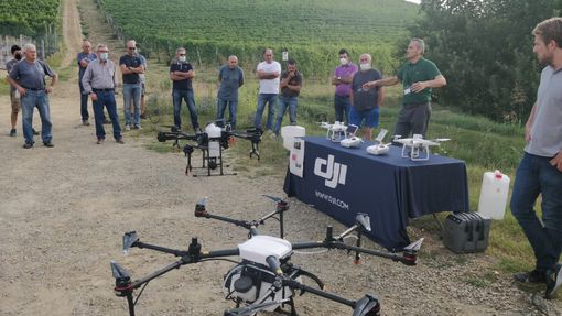 Immagini Cantina Terre del Barolo