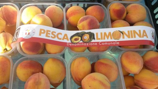 Foto "Tipici Astigiani" Foto "Tipici Astigiani"