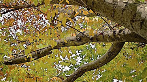 Foto generica Foto generica