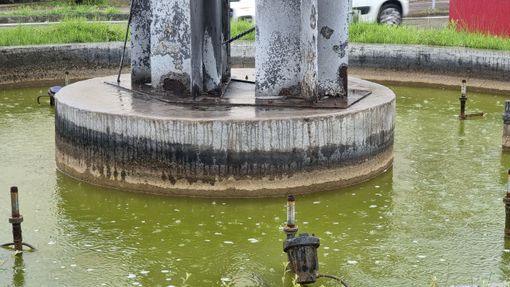 Intervento per rimuovere il putridume dalla fontana di corso Savona Intervento per rimuovere il putridume dalla fontana di corso Savona