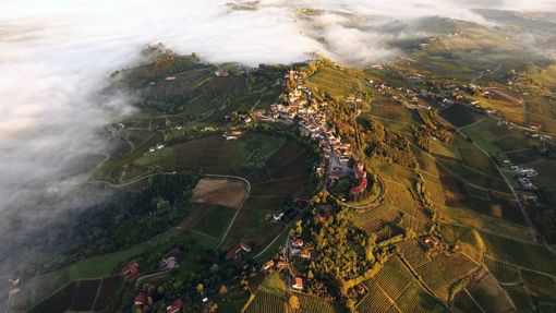 “La vite è bella – I paesi della vigna e del vino”, convegno di Identità future, apre la Fiera del Rapulè a Calosso