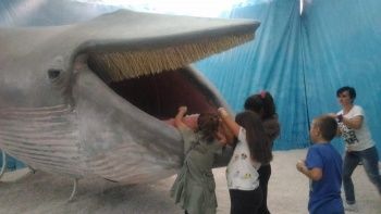 Appuntamento con “Il mare tra le colline”, escursione guidata all’affioramento della Val Sarmassa Appuntamento con “Il mare tra le colline”, escursione guidata all’affioramento della Val Sarmassa