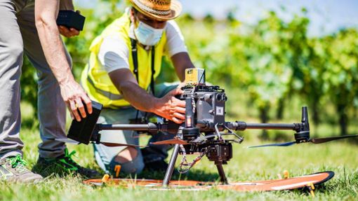 Intelligenza artificiale e viticoltura: il Consorzio Barbera d’Asti presenta i risultati di NoviAgri