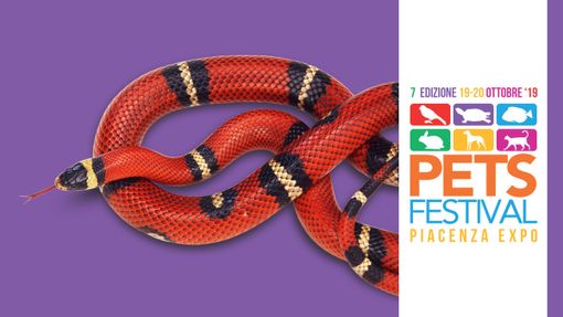 Vieni a conoscere rettili e anfibi a Petsfestival 2019