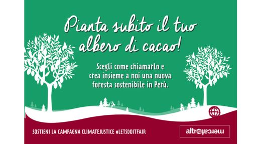 A Natale regala un albero di cacao. Adottandolo si contribuirà alla nascita di una foresta