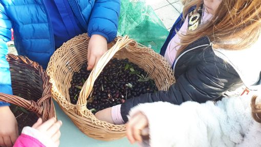 Trasferta tra Macerata e Recanati per l'approccio astigiano Bimbisvegli
