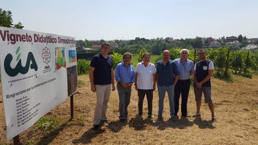 Vitigni resistenti: l'innovazione in agricoltura al centro della Festicamp Cia Asti 2019
