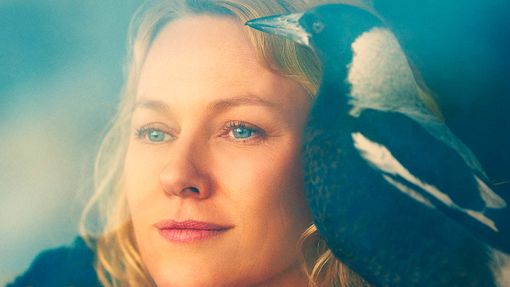 Al cinema Lumière di Asti continua la programmazione di &quot;Penguin Bloom&quot;