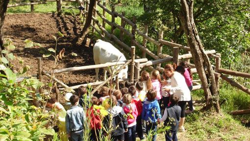 L'estate per i bambini è meglio in campagna nelle fattorie didattiche L'estate per i bambini è meglio in campagna nelle fattorie didattiche