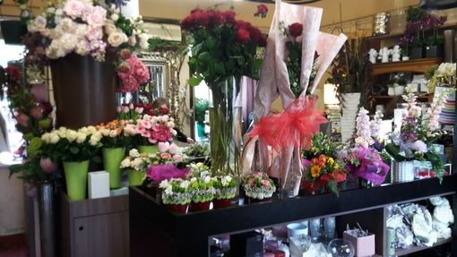 Sabato e domenica in Piemonte garden aperti per la vendita di piante, fiori e relativi prodotti accessori Sabato e domenica in Piemonte garden aperti per la vendita di piante, fiori e relativi prodotti accessori