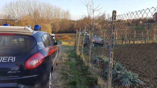 Travolto da un albero a San Paolo Solbrito