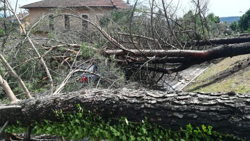 Danni da maltempo: la Regione Piemonte chiederà lo stato di calamità