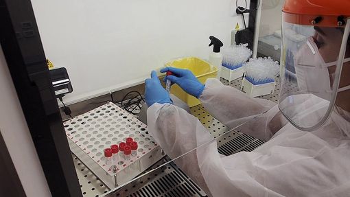 Immagine di archivio Immagine di archivio