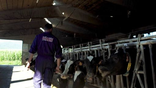 Inalpi sulla protesta agricoltori: &quot;Necessario individuarne i veri obiettivi, ma anche cogliere gli elementi di sostegno&quot;