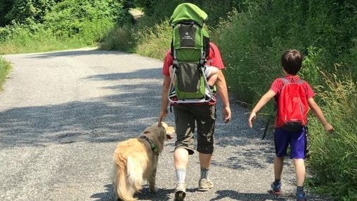 Peste suina: "Cosa giustifica l'adozione di provvedimenti così pesanti?"