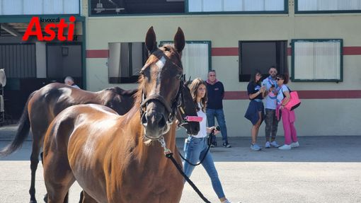 Alcune immagini della mattinata (Merphefoto)