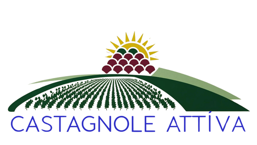 Castagnole delle Lanze, il caso Cerere: il comitato rilancia con dieci domande all'Amministrazione